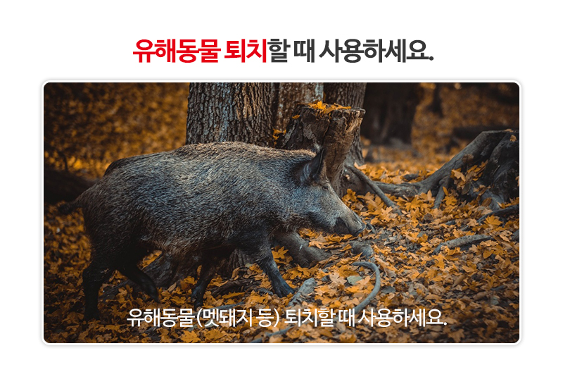 다돌__